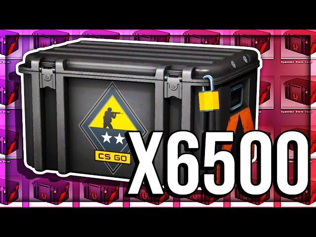 I OPENED 6500 CASES - HOW MUCH DID I PROFIT?