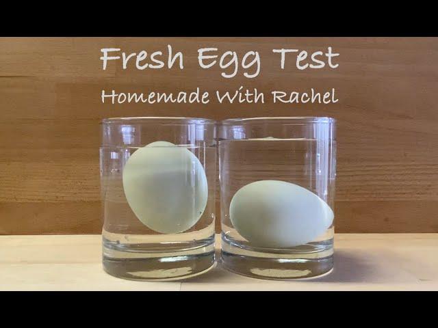 Fresh Egg Test - Sink or Float