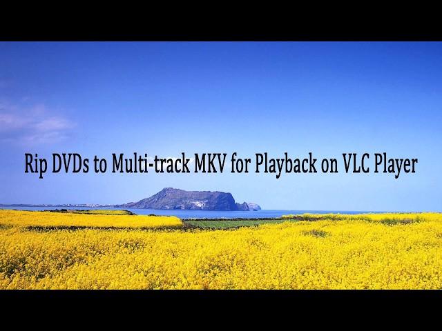 Rip DVDs to Multi-track MKV for Playback on VLC Player