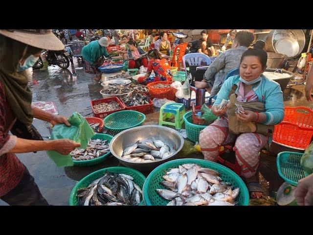 Early Morning SeaFood Market Scene @Prek Phnov Bridge - Daily Activities of Vendors Buying SeaFood