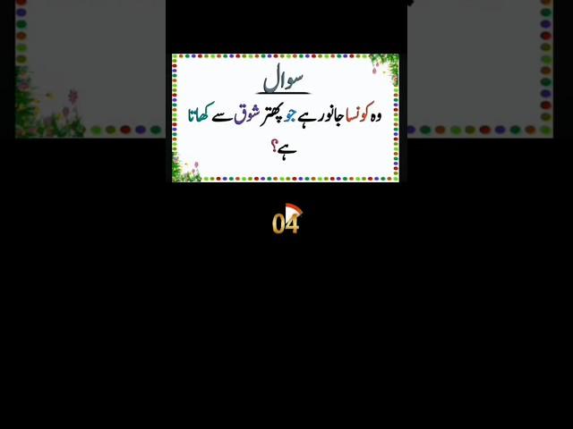 Paheliy in Urdu with Answers #paheliyan #commonsense #gk #riddlesriddles with answers