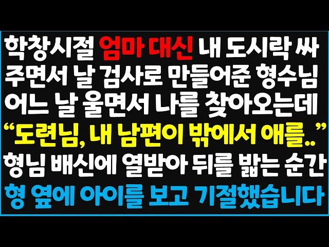 (신청사연) 학창시절 엄마 대신 내 도시락 싸 주면서 날 검사로 만들어준 형수님, 어느 날 울면서 나를 찾아오는데 " 도련님, 내 남편이~ [신청사연][사이다썰][사연라디오]