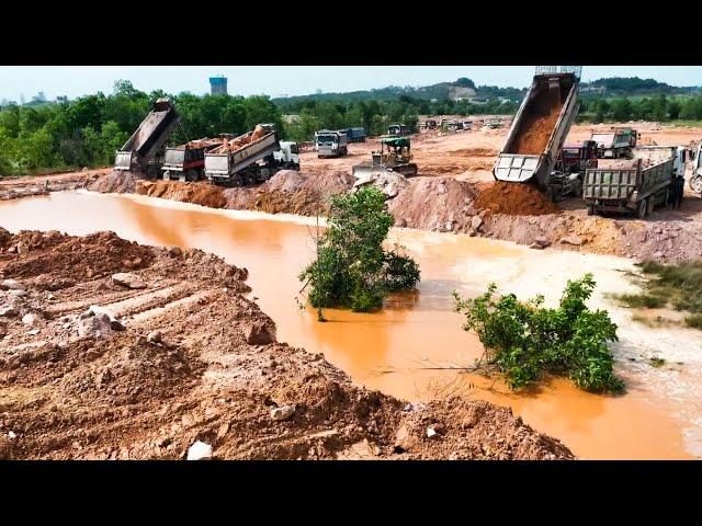 Great Team Work Machinery !! Many Dump Trucks Filling Land With An Old Bullodzers