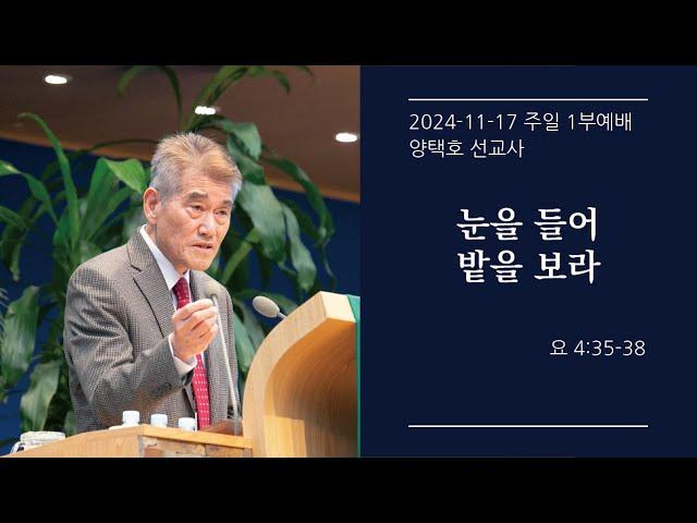 [생명샘교회]2024년 11월 17일 주일 1부예배