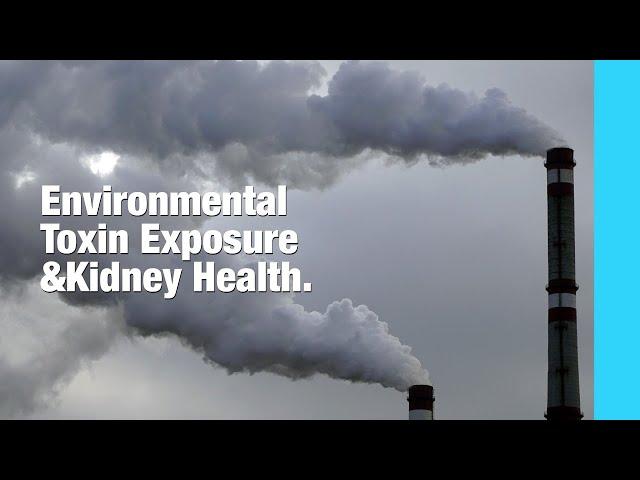 Environmental Toxins And Kidney Health