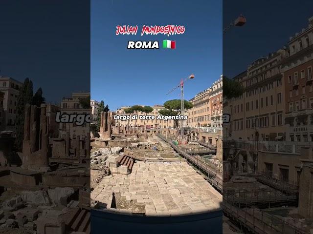 largo di torre Argentina ROMA #shorts #shortsyoutube #roma #travel#romantic #mundoetnico#romaitalia