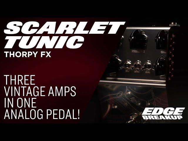 Thorpy FX Scarlet Tunic - Guitar Pedal Demo (Three Analog Amp Pedals in One!)