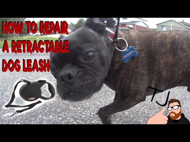 How To Fix A Retractable Dog Leash