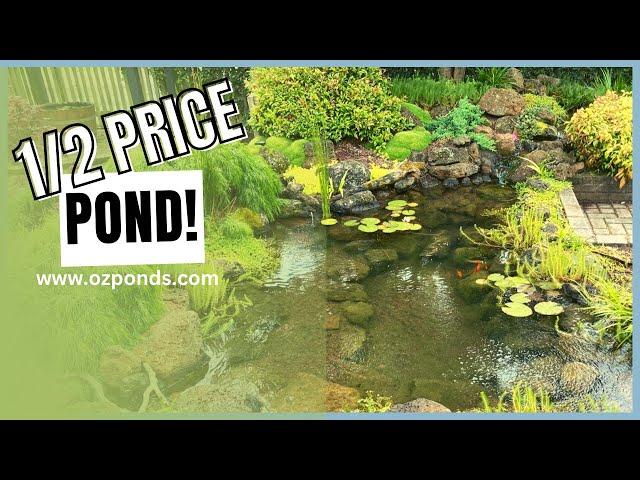 Building an ecosystem pond on a budget