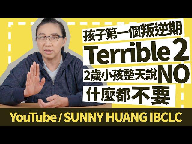 孩子第一個叛逆期Terrible 2系列第3集，2歲小孩整天說NO什麼都不要 | 科學育兒