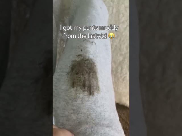 WHYYY