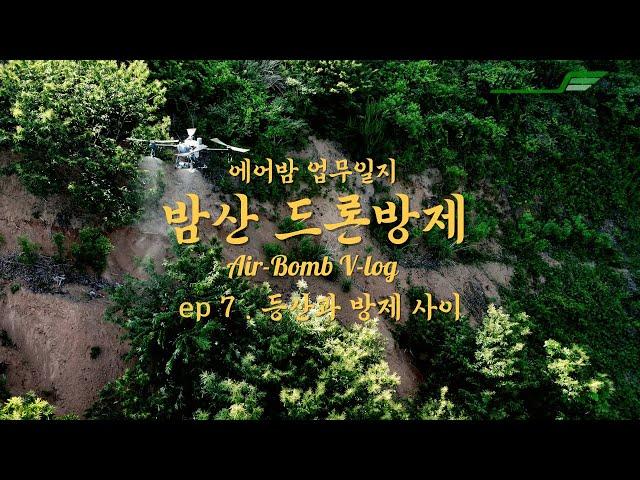 공주 정안면 밤산 드론방제
