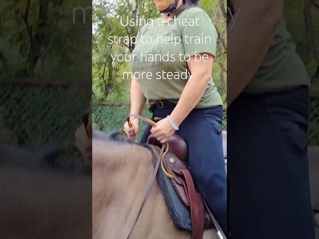 #horse #hacks #better #steady #soft #hands on the #reins #horsemanship #bitless