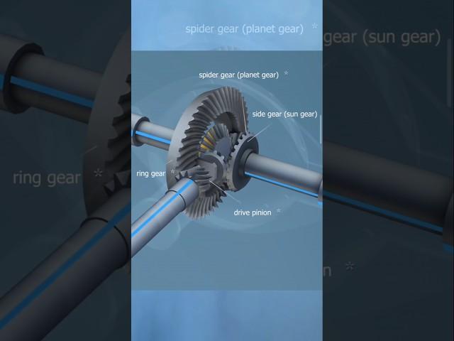 How Differential Work in a Car? #car #automobile #mechanic