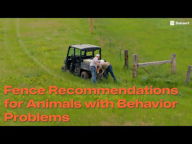 Fence Recommendations for Animals with Behavior Problems | Bekaert Fencing