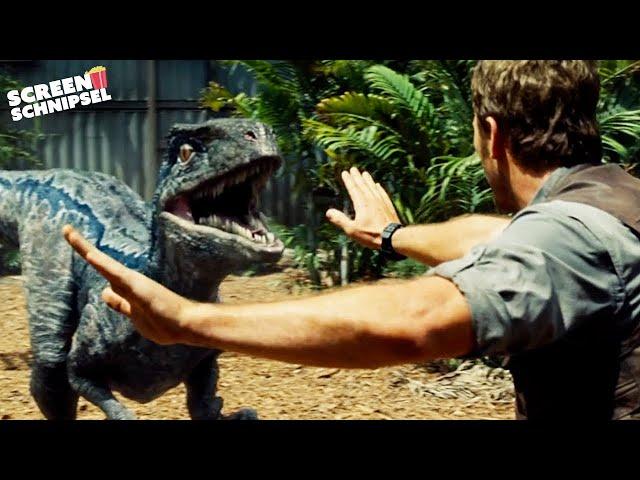 Blues und Owens Geschichte | Jurassic World | Screen Schnipsel