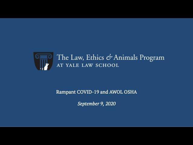 Rampant COVID-19 & AWOL OSHA (September 9, 2020)