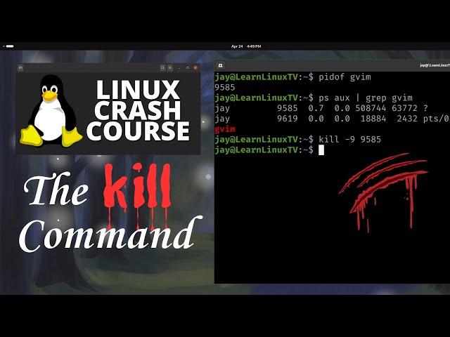 How to use the kill command in Linux (Linux Crash Course Series)