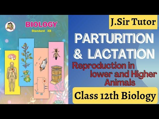 Parturition or Lactation Class12 Bio Reproduction in Humans 12th HSC Science Explanation in Hindi