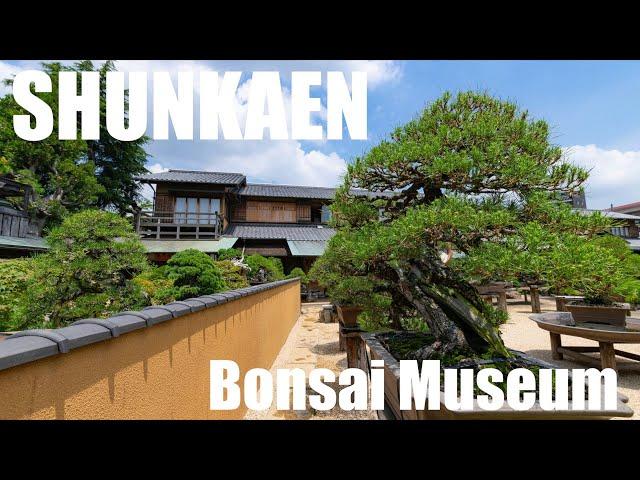 Shunkaen Bonsai Museum【春花園】 Tokyo Japan〜Japan OTAKU News〜