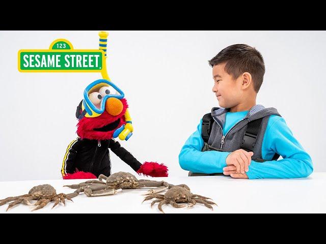 Sesame Street: Elmo and Kids Meet a Marine Biologist featuring @hihokids