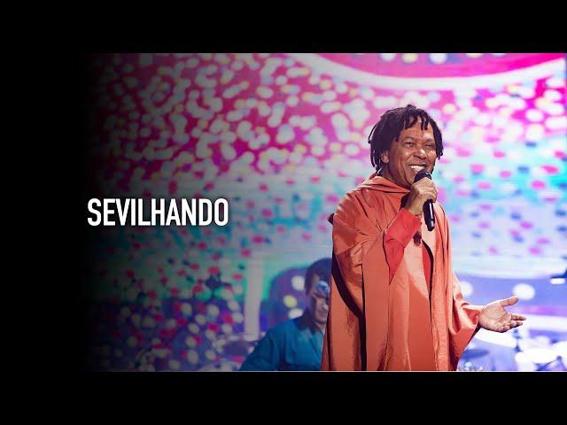 Djavan - Sevilhando | D Ao Vivo Maceió (Clipe Oficial)