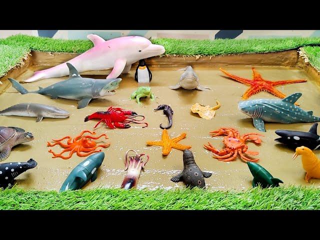 Exciting Adventure with Sea Animals Ocean Animals in a Sandbox: Learning Fun for Children