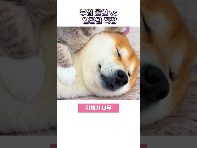 안정된직장 vs 부업올인