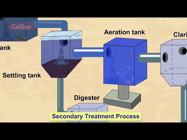 How do wastewater treatment plants work?