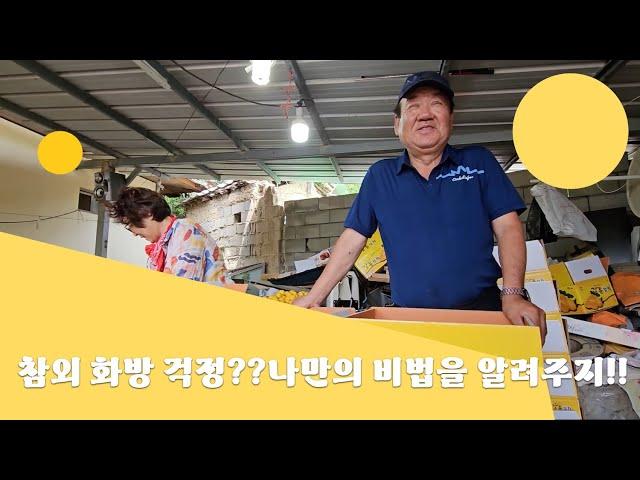 참외 화방에 고민이라면 이 영상을!!! 잘자람 바이오미네랄 사용 후기