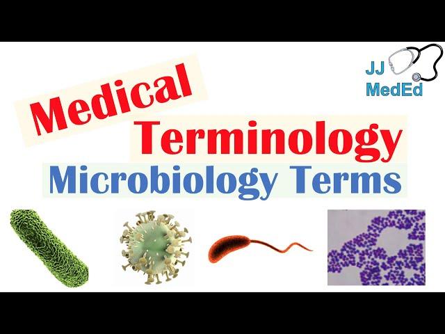 Medical Terminology - The Basics - Microbiology and Infectious Diseases Lesson