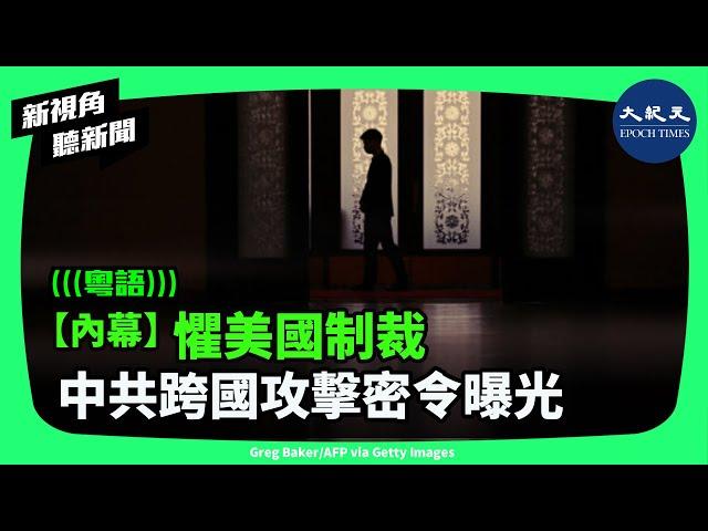 中共機密情報顯示，國安部陳一新提出跨國攻擊計劃後，公安部正啟動海外特務網絡，加大攻擊海外法輪功、神韻和大紀元。據稱同樣手段很快也會用來對付其它反共組織| #新視角聽新聞 #香港大紀元新唐人聯合新聞頻道