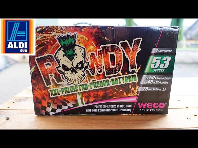 Weco Rowdy | Aldi Süd 26,99 € | XXL-Palmstar-Fächer-Batterie | Silvester Test 2024 [Full HD]