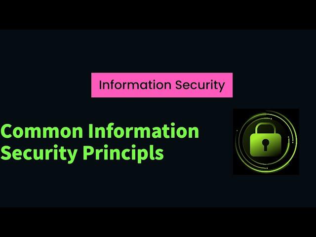 Common Information Security Principles That You Need To Know