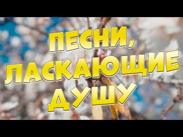 Заходи и Слушай! Здесь самые Красивые песни!