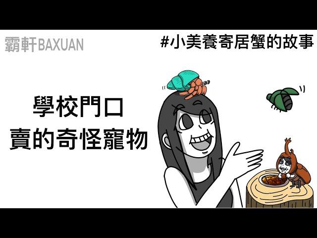 校門口賣的奇怪寵物｜直播精華#24｜霸軒與小美 Baxuan & Mei