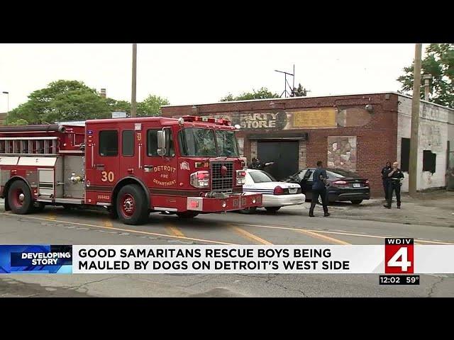 Good Samaritans rescue boys being mauled by dogs on Detroit's west side