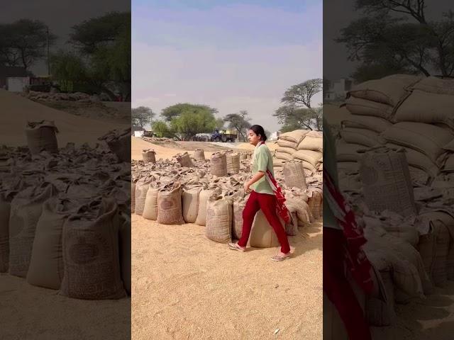 Bappu kole maya sarkar dii  #farmerworld #modernfarmer #farmingcareer #farmingtraditions