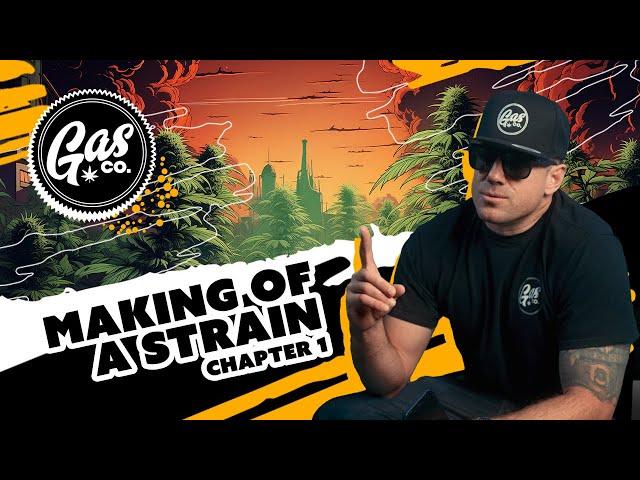 Gas Co - Making of a strain: Chapter 1 (Documentary)