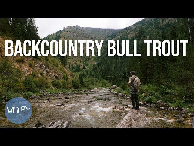 120 HOURS IN BULL TROUT COUNTRY (quest to find the elusive bull trout)