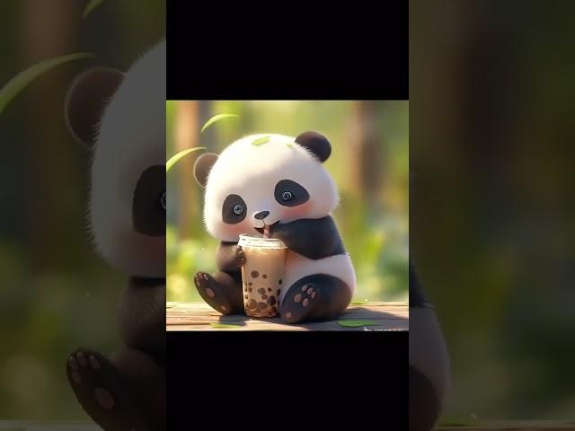Little Panda Drinking Milk tea 