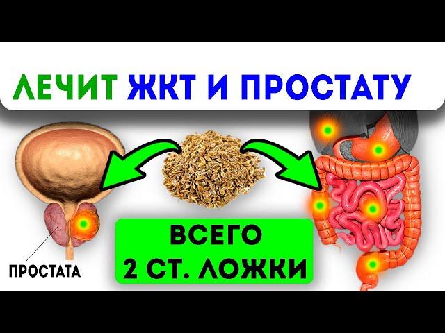 Всего 2 ложки оздоровит кишечник, мочевой, желчный, простату и даже...