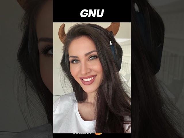 „So sahen Saftiges Gnu & Reved früher aus! “