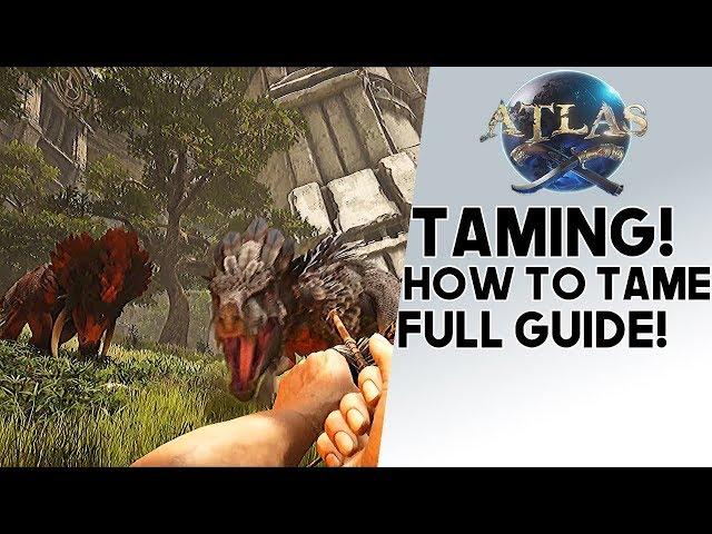 Atlas: HOW TO TAME!! Guide  To Taming ANY Animal You Want!! Tigers, Lions, Horses, & More!