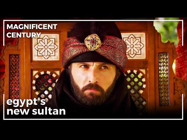 Ahmed Pasha Declares Himself Sultan Of Egypt | Magnificent Century