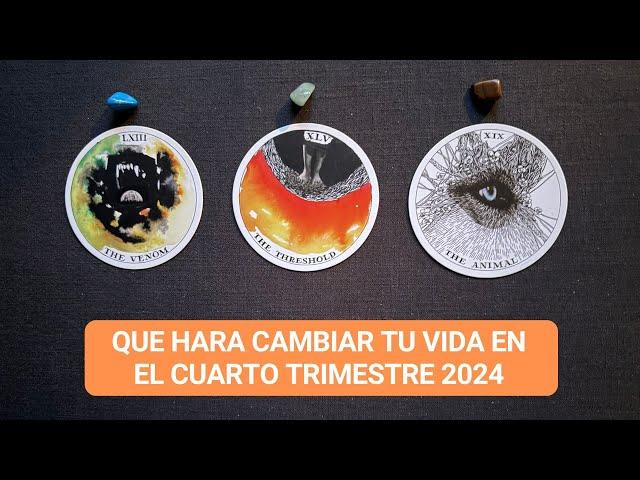 Que hará cambiar tu vida en el cuarto trimestre 2024 | Elige una carta timeless