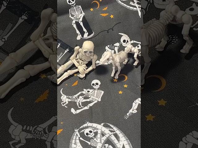 Mr.Bones is on his own fabric?! #quilting #cottonfabric #sewing #spookyseason #halloweendecor