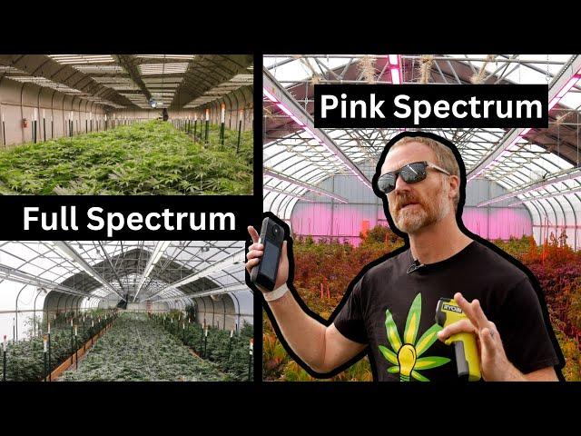 Exploring the Best Greenhouse LED Grow Lights: A Comprehensive Guide