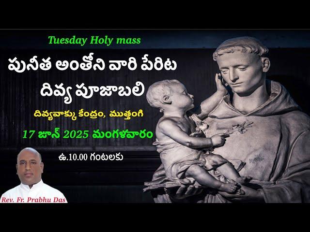 Rev. Fr. Prabhu Das | 17-06-2025 | Tuesday Holy Mass in Telugu | Divine Word Centre,Muthangi |