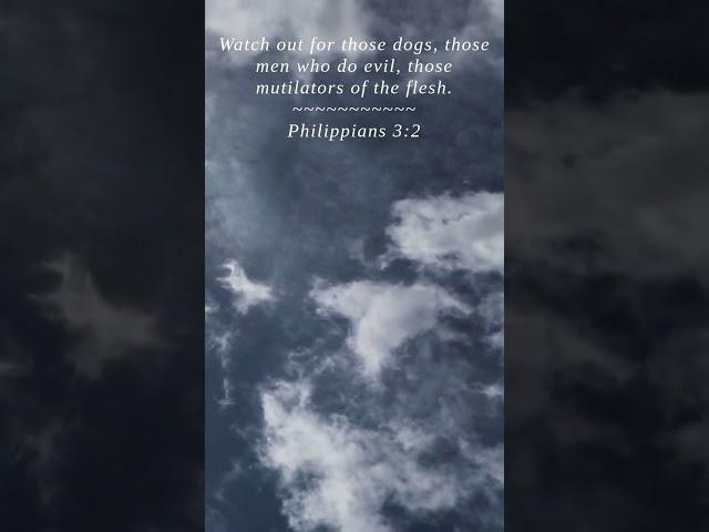 Bible | Philippians 3:2 | Watch out for those dogs those...